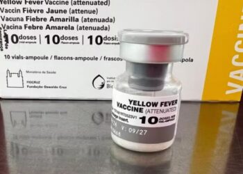 Caso de febre amarela em macaco faz São Paulo reforçar vacinação no ABC